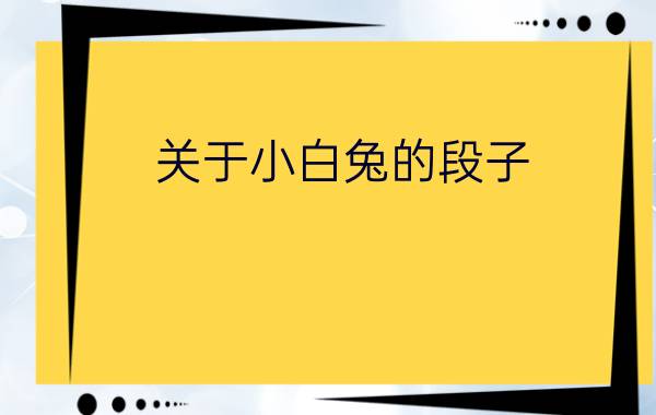 关于小白兔的段子  笑破你的肚子